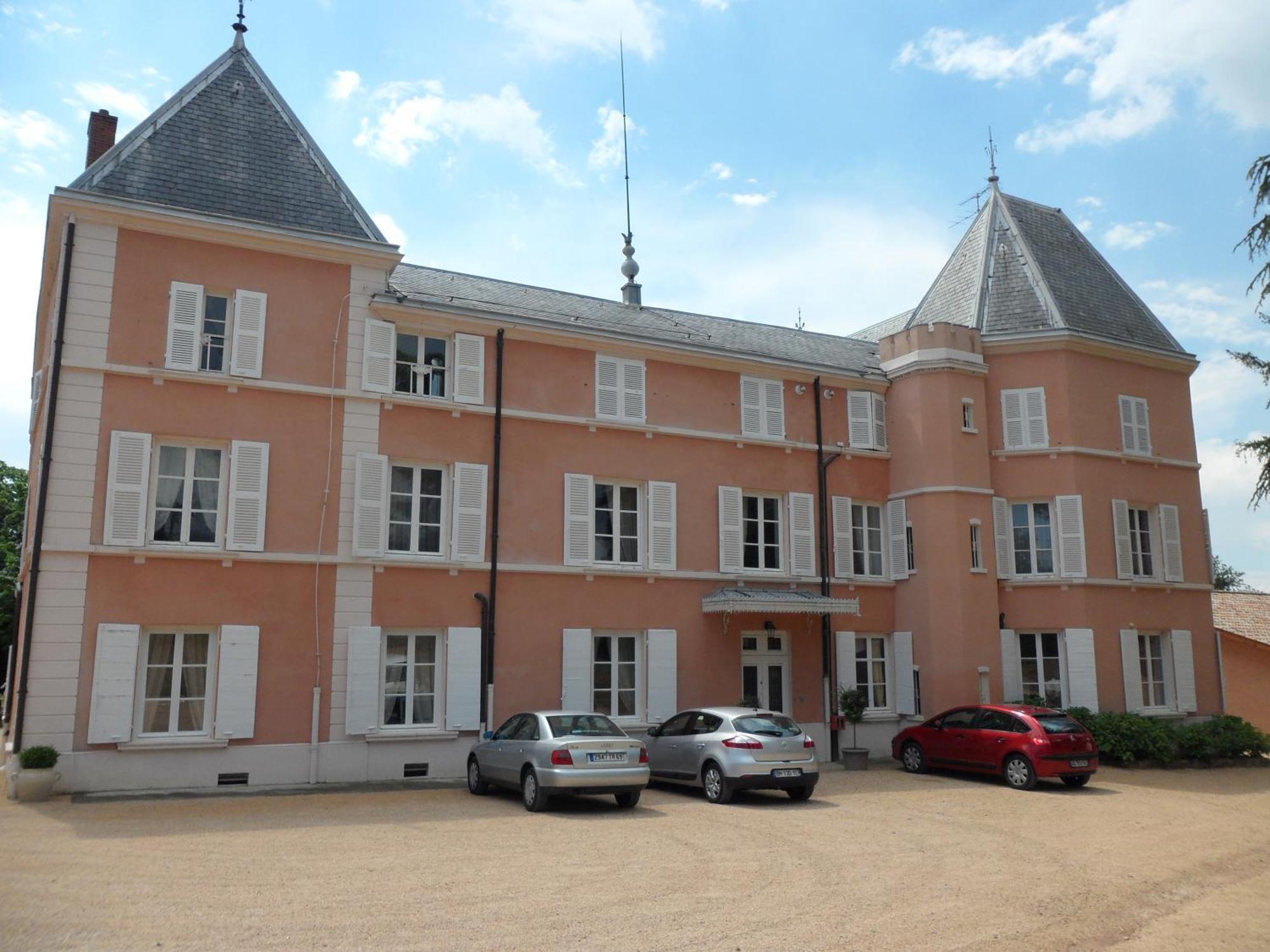 Chateau De La Chapelle Des Bois フルーリー エクステリア 写真
