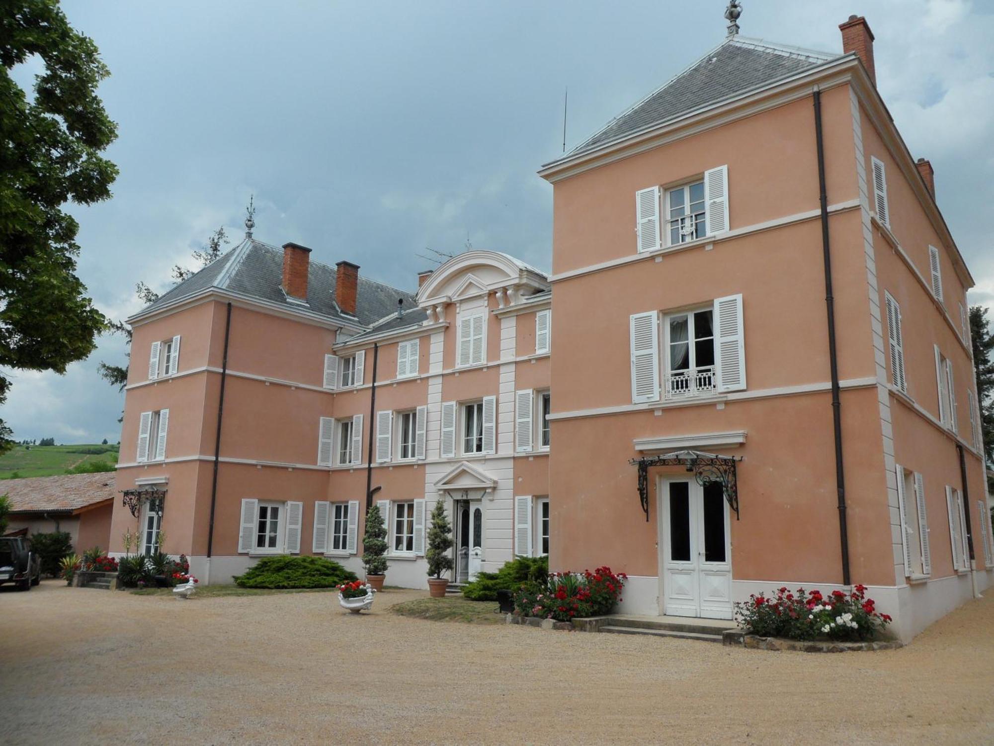 Chateau De La Chapelle Des Bois フルーリー エクステリア 写真
