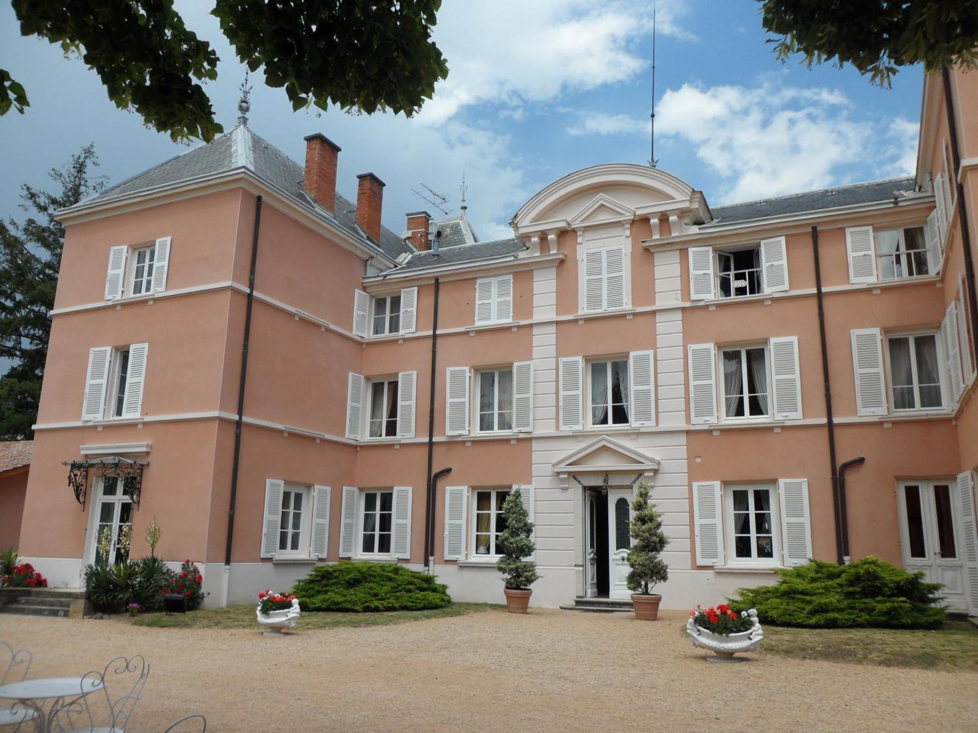 Chateau De La Chapelle Des Bois フルーリー エクステリア 写真