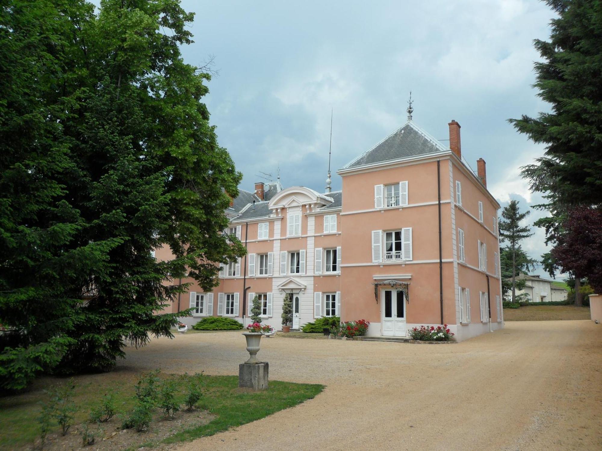 Chateau De La Chapelle Des Bois フルーリー エクステリア 写真